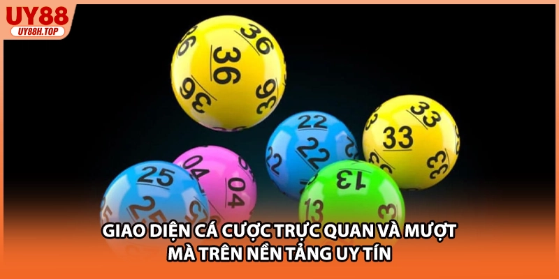 Giao diện cá cược trực quan và mượt mà trên nền tảng uy tín