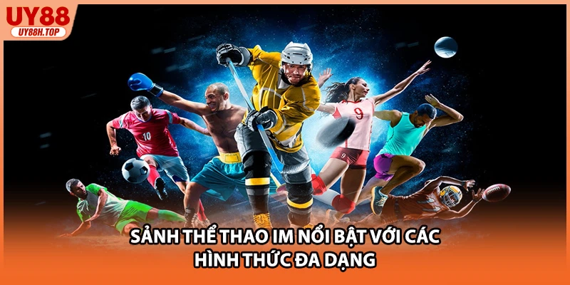 Sảnh thể thao IM nổi bật với các hình thức đa dạng