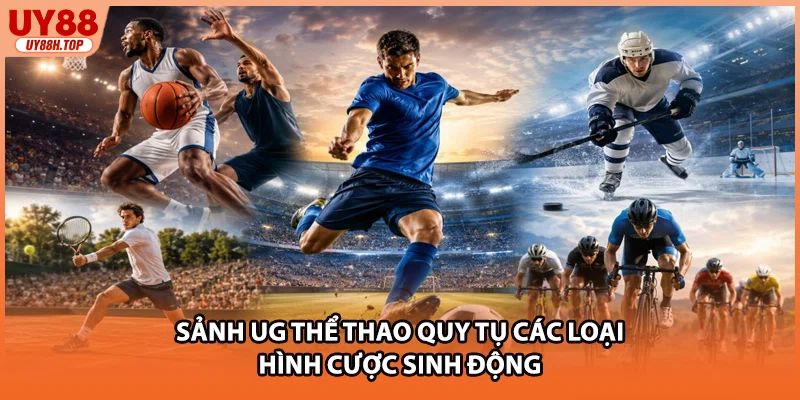Sảnh UG thể thao quy tụ các loại hình cược sinh động